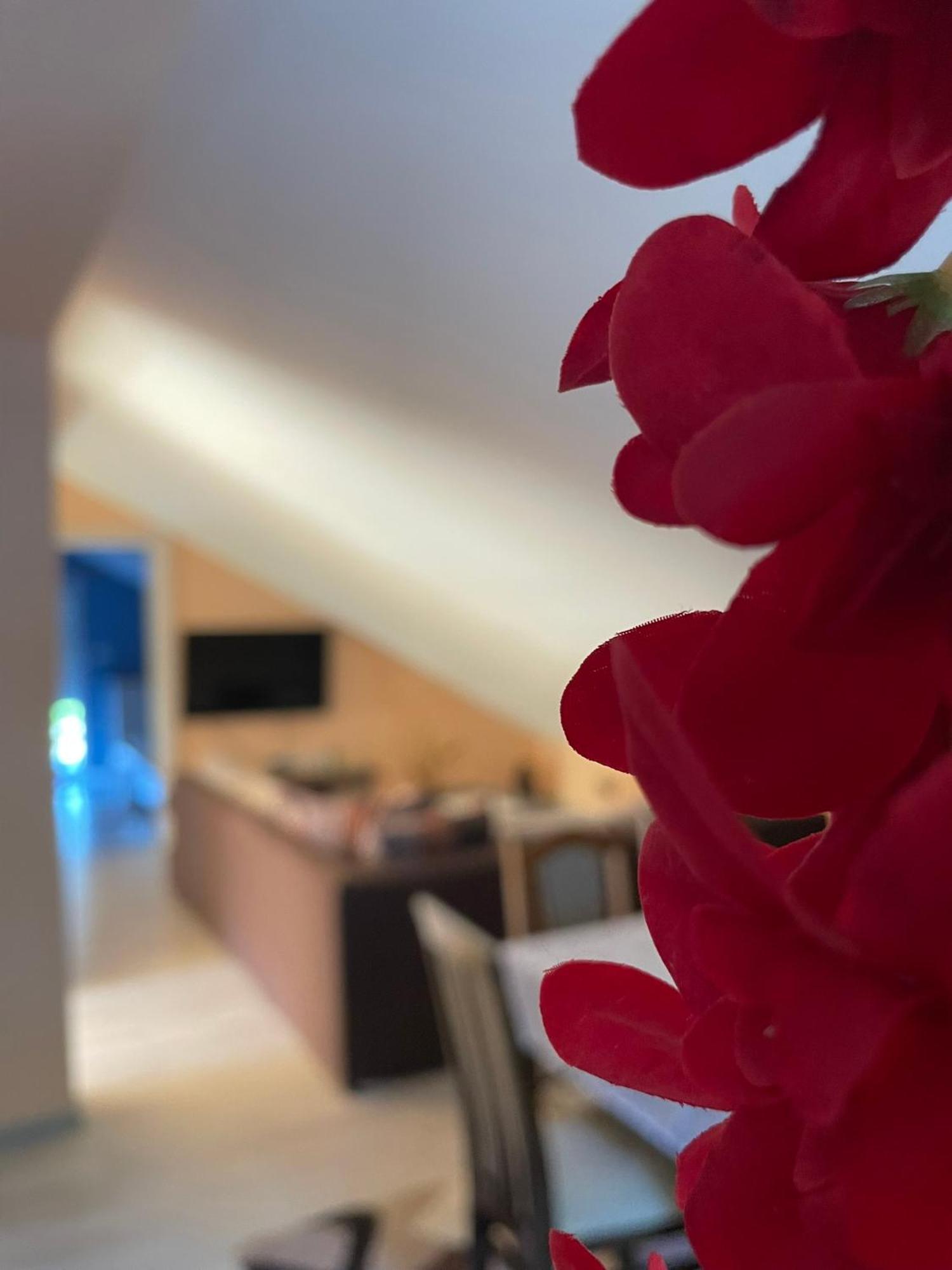 Apartments Simic Каменари Екстериор снимка